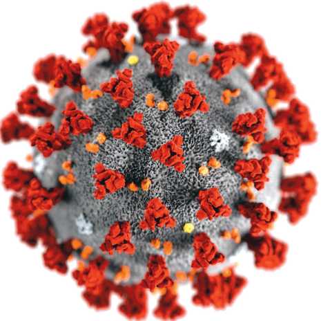 Coronavirus